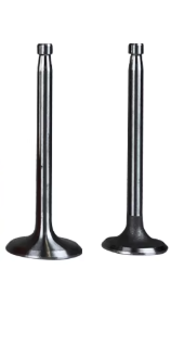 Клапаны пара - ZS1110/ZS 1115